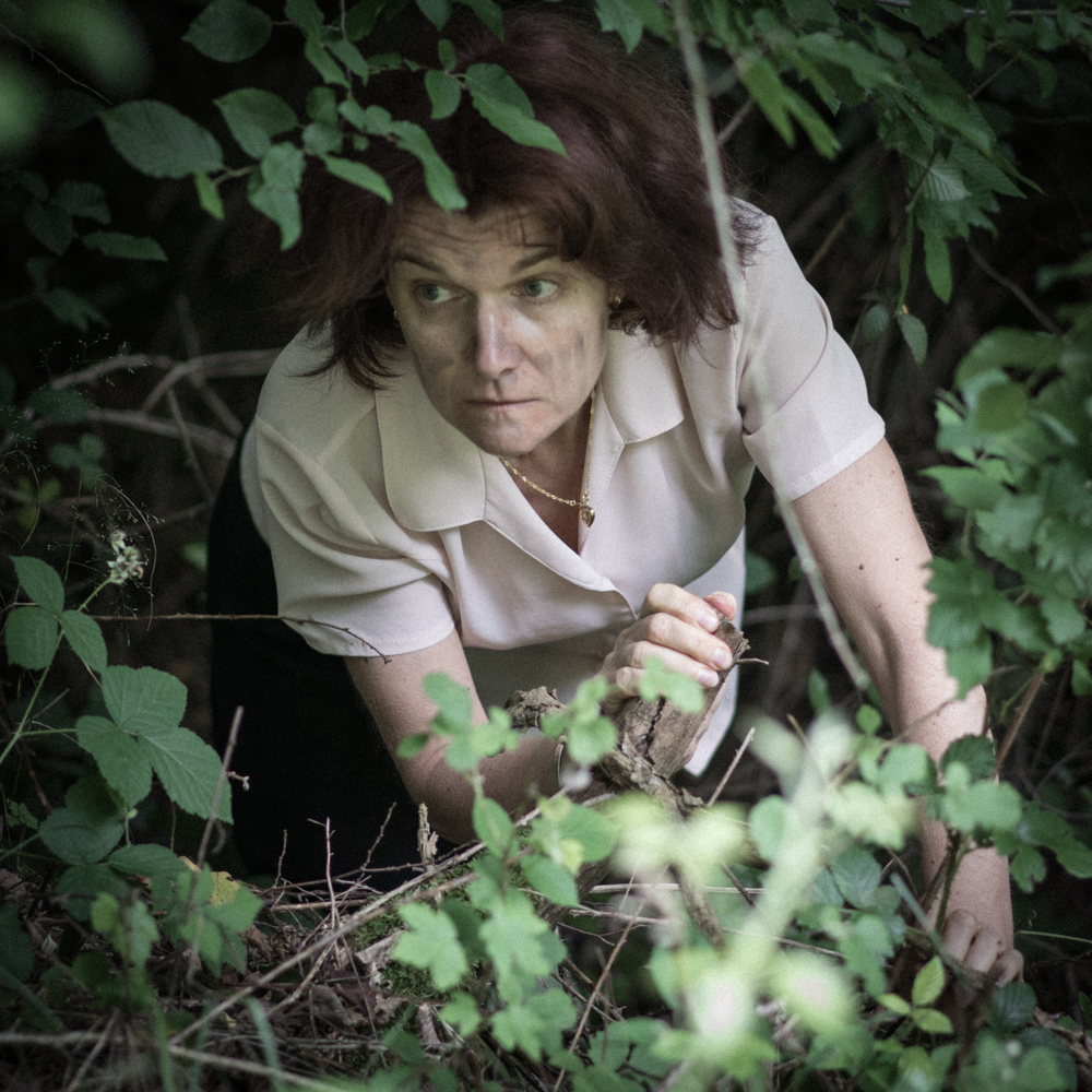 down in the woods