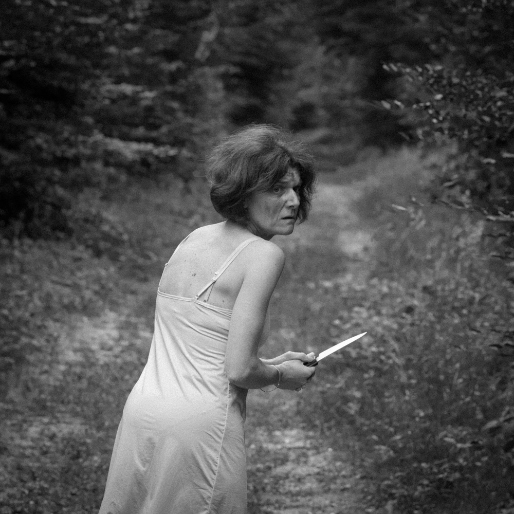 down in the woods