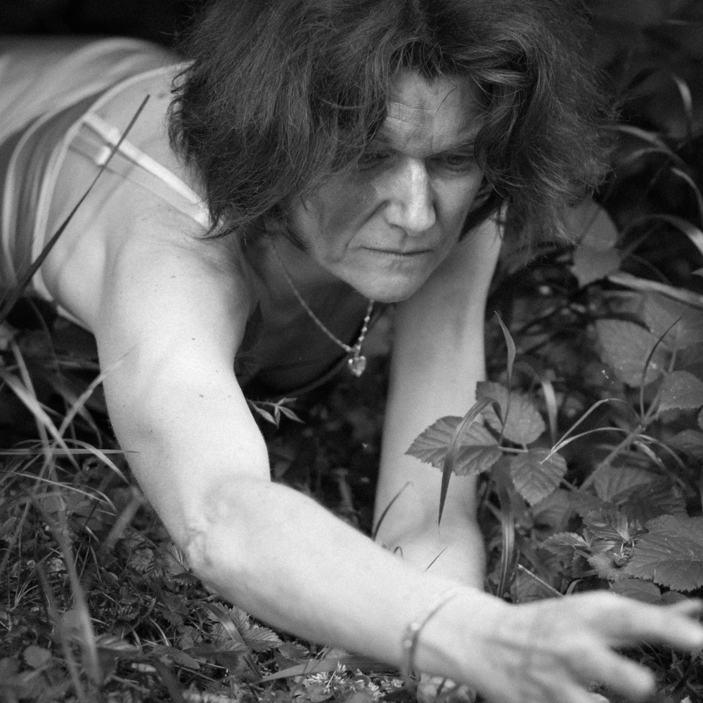 down in the woods