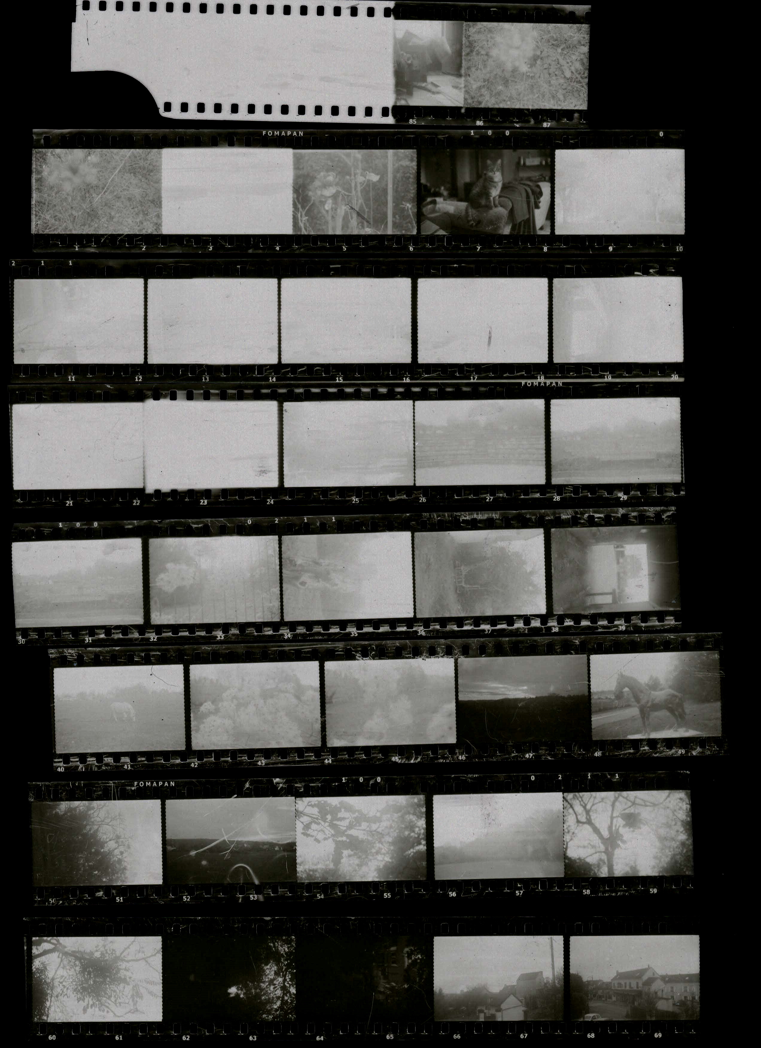 EPSON MFP image