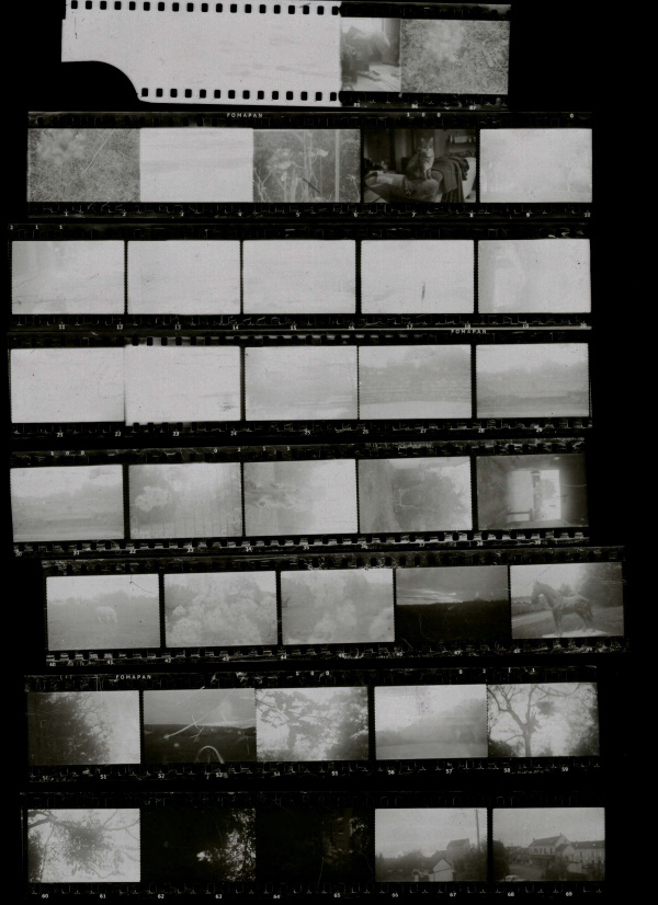 Contact strip